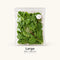 Large Vacuum Bags (Pack of 10)