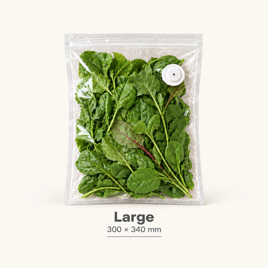 Large Vacuum Bags (Pack of 10)